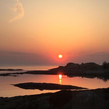 Superior Cottage With Sea View In Senja Senjehesten Ngoại thất bức ảnh