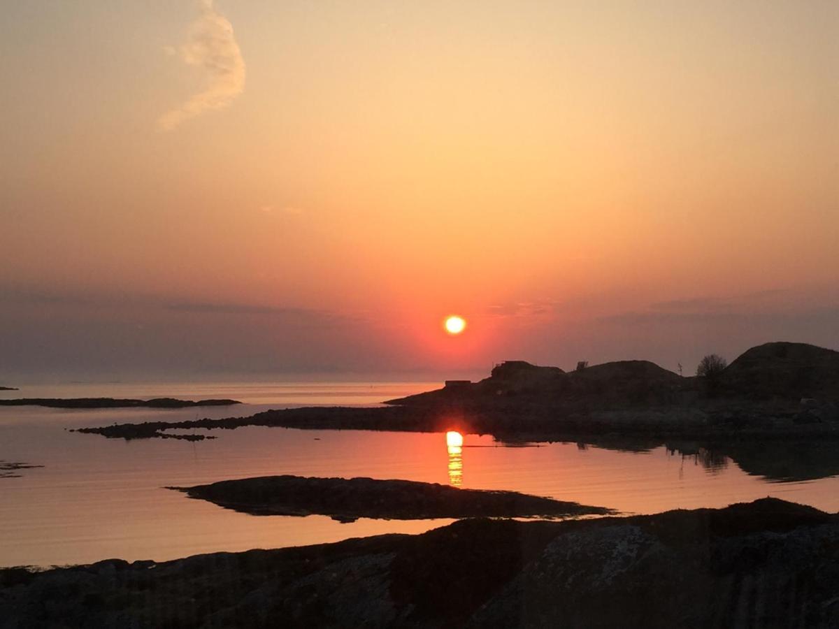 Superior Cottage With Sea View In Senja Senjehesten Ngoại thất bức ảnh